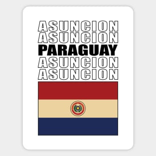 Flag of Paraguay Magnet